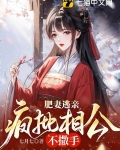 肥妻逃亲,疯批相公不撒手