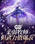 神印：柔弱牧师，但武力值爆表