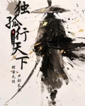 独孤行天下