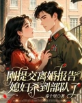 刚提交离婚报告，媳妇杀到部队了