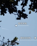 星月大陆