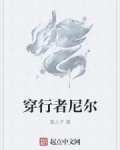 穿行者尼尔