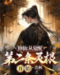 看不起杂灵根？我直入仙道！