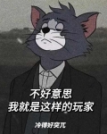 我就是这样的玩家