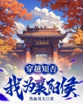 穿越知否，我为襄阳侯