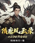 隋唐风云录：从小兵到帝国谋士