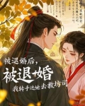 大明伪君子