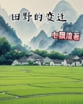 田野的变迁