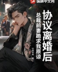 协议离婚后，总裁前妻跪求我原谅