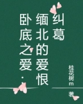 卧底之爱：缅北的爱恨纠葛