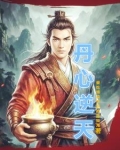 丹心逆天