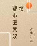 都市医武双绝