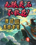 无限灵石不敢花？我狂薅系统羊毛