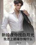 新婚夜你找白月光，我走上巅峰你悔什么？