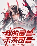 我的灵兽未来可妻