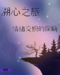 溯心之旅：情绪交织的回响