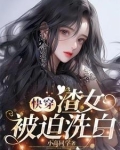 快穿：那些年渣女渣过的大佬们
