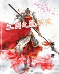 三国之冠军侯