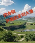 四合院傻柱逆袭了