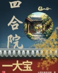 四合院一大宝儿