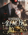易孕体质曝光，舒秘书一胎三宝