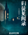 归徒见闻录