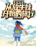 宝可梦：从放牛娃开始的旅行