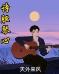 诗胆琴心