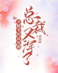 卫秘书的试用期总裁又浑了