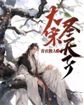 大宋圣天子