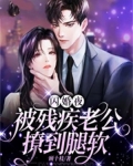 闪婚夜，被残疾老公撩到腿软