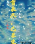雪未尽，已半生