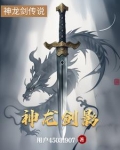 神龙剑影