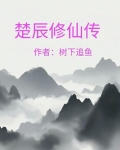 楚辰修仙传