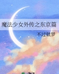 魔法少女外传之东京篇