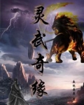 灵武奇缘