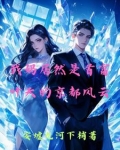 我妈居然是首富，叶天的京都风云