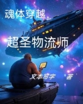 魂体穿越，超圣物流师
