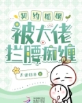 契约婚姻，被大佬拦腰痴缠