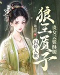 贵女云鬓酥腰，狼王质子囚娇入帐
