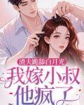 渣夫跪舔白月光，我嫁小叔他疯了
