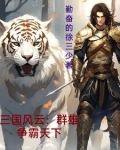 三国风云:群雄争霸天下