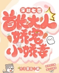 穿越七零首长大人娇宠小娇妻