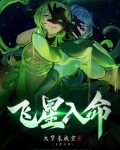飞星入命