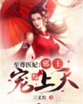 至尊医妃：邪王宠上天
