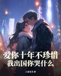 爱你十年不珍惜，我出国你哭什么？