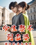 今生娶不到老婆：重生反手当渣男