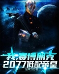 我，赛博朋克2077低配帝皇