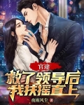 官途：救了领导后我扶摇直上