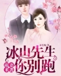 萌妻来袭！冰山先生你别跑